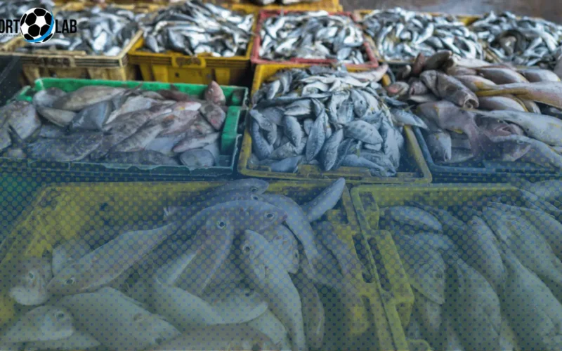 أسعار الأسماك والجمبري في السوق اليوم 8 سبتمبر 2025